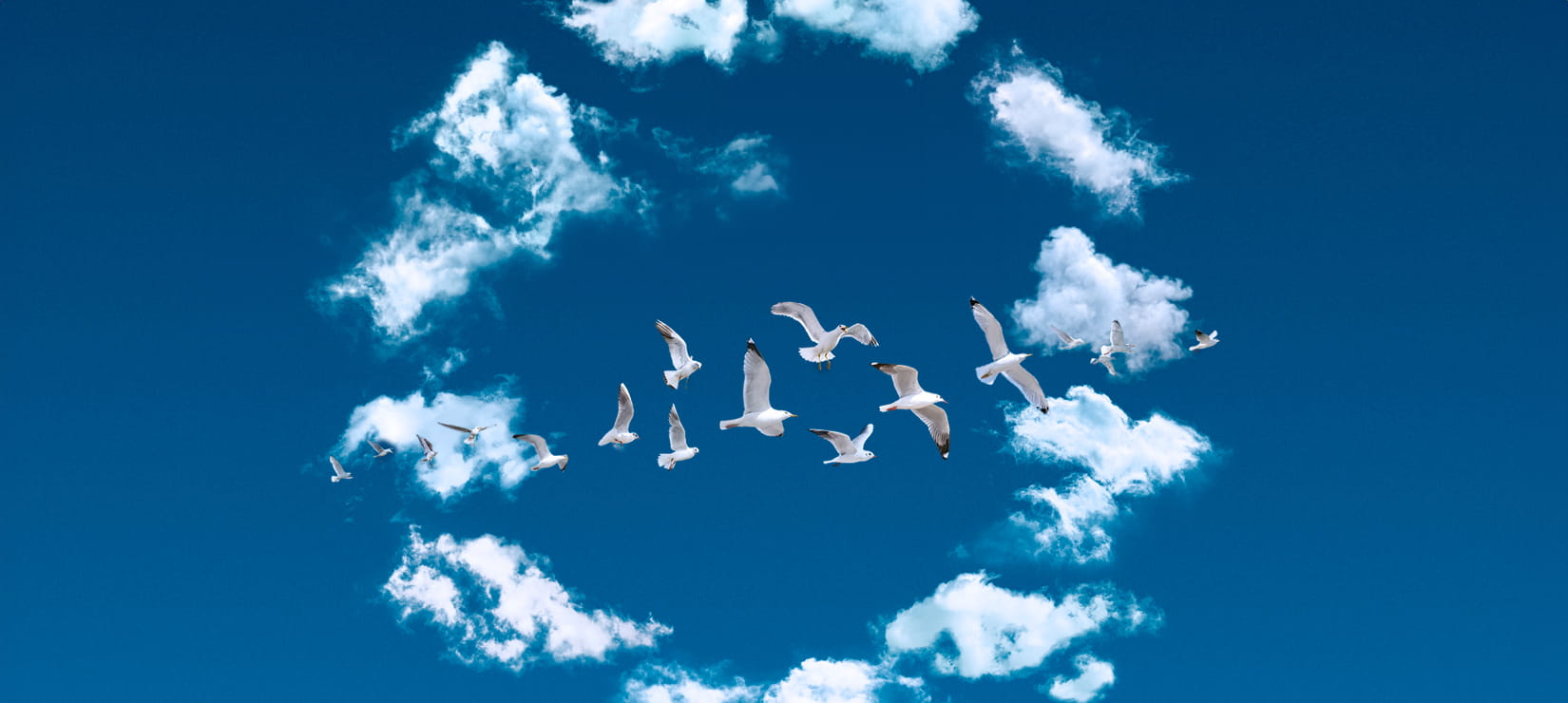 Birds flying among clouds in a blue sky